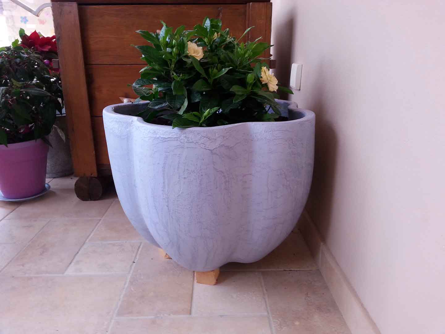 Διαμόρφωση εξωτερικού χώρου Πατιτή τσιμεντοκονία